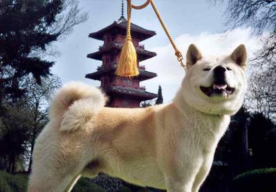 breed image