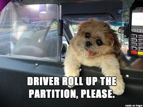 dog memes