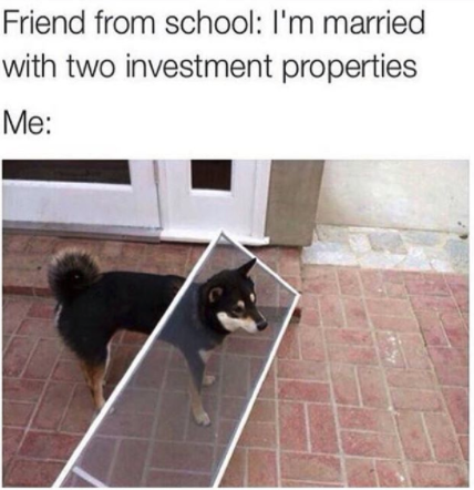 funny dog meme