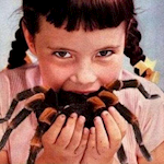 Steven's Brewery Logo