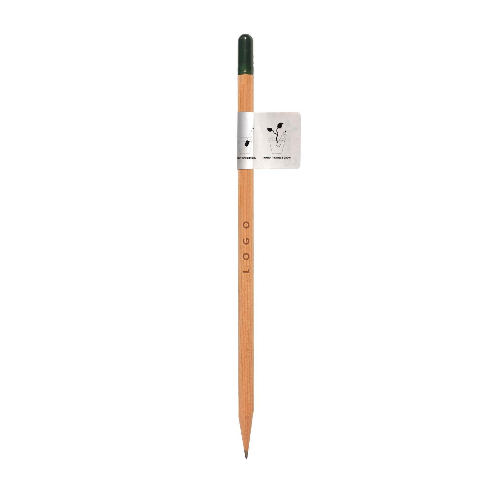 287889 sprout pencil pencil engraved on one side
