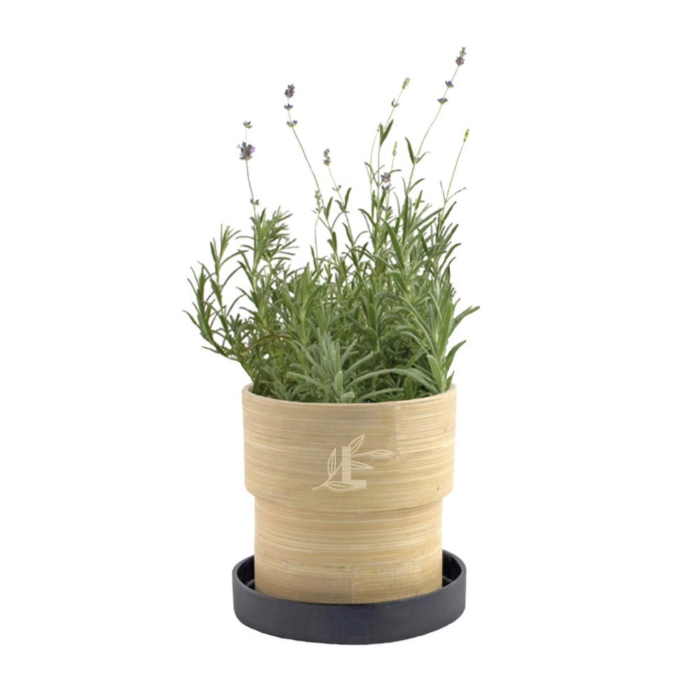 289348 lavender in bamboo planter engraved or one color logo