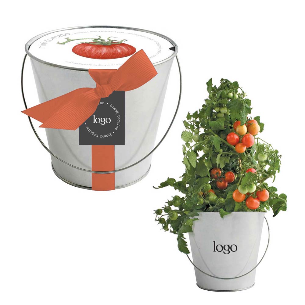 302818 tomato in a pail two color logo on pail custom hang tag choice of ribbon color
