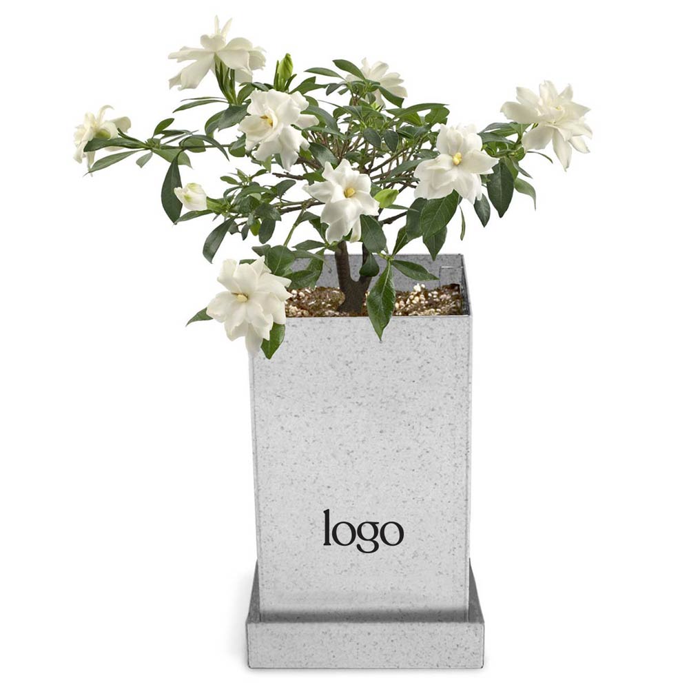302821 bonsai gift planter one color logo on planter