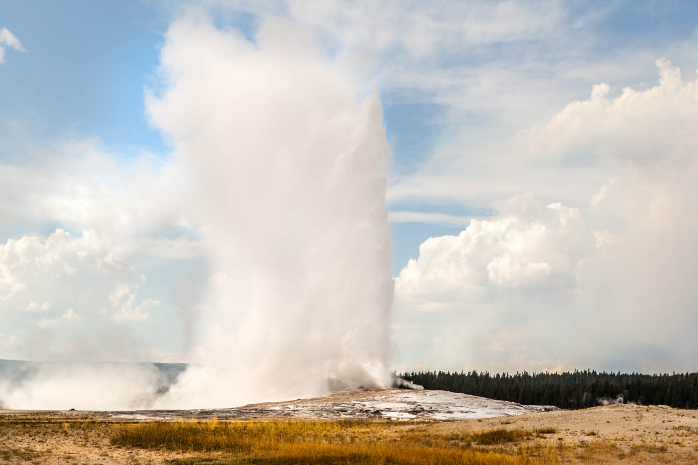 Old Faithful in Upper Geyser Basin at Yellowstone National Park #vezzaniphotography