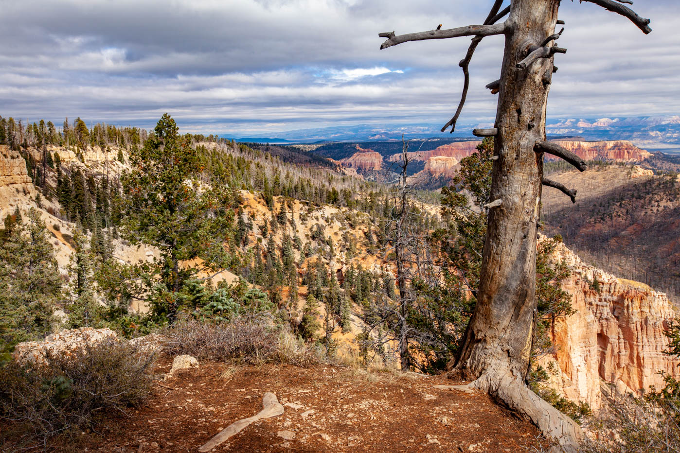18-Mile Scenic Drive Piracy Point Overlook at Bryce Canyon National Park #vezzaniphotography