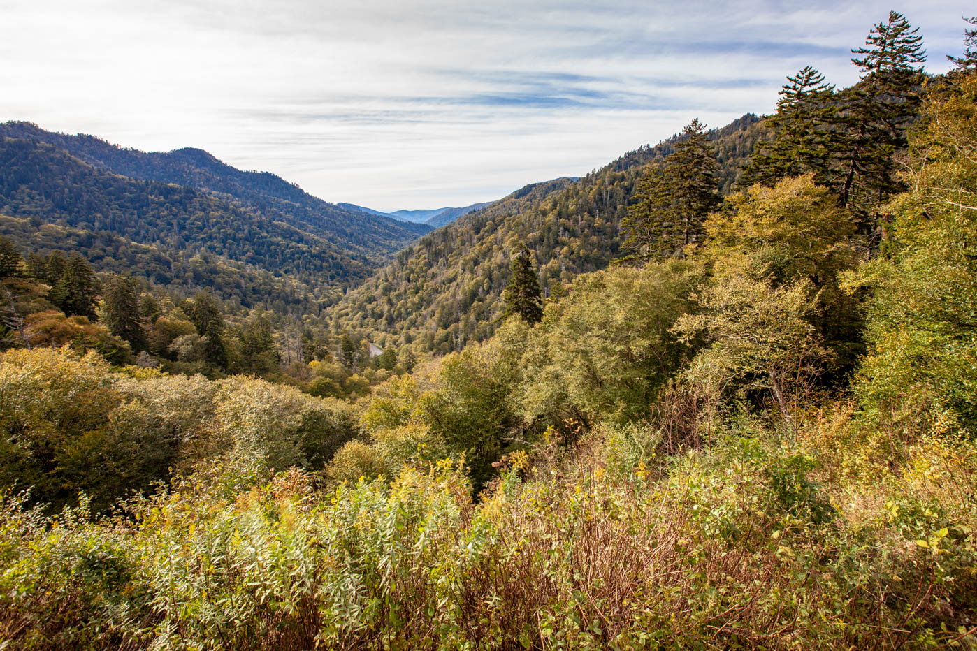 Mortons Gap Overlook - Must See Locations Along Newfound Gap Road at Great Smoky Mountains National Park #vezzaniphotography