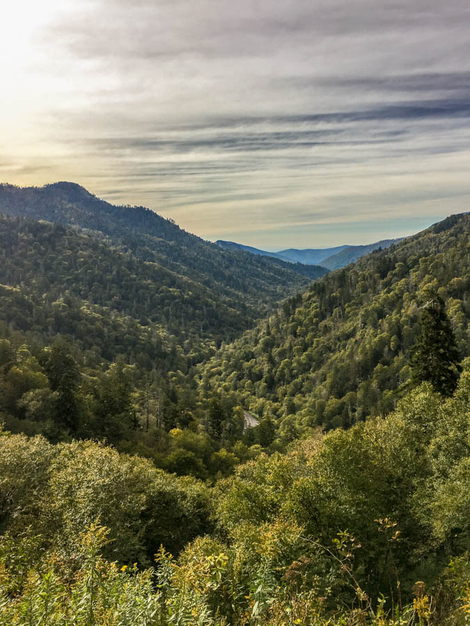 Mortons Gap - Must See Locations Along Newfound Gap Road at Great Smoky Mountains National Park #vezzaniphotography