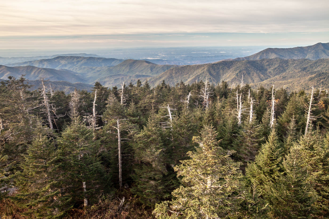 Clingmans Dome Sunset at Great Smoky Mountains National Park #vezzaniphotography