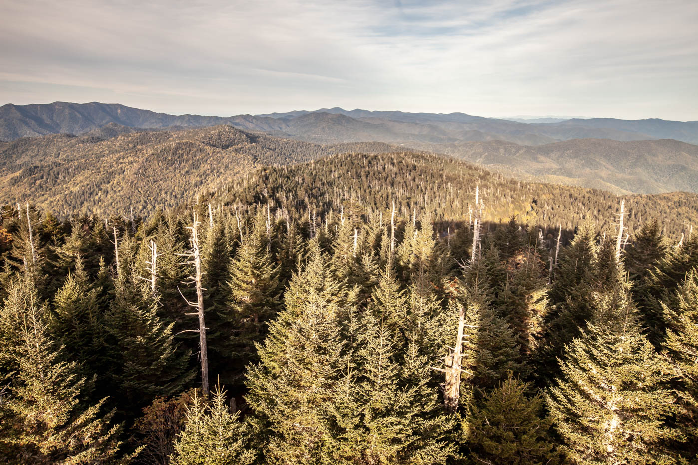 Clingmans Dome Sunset at Great Smoky Mountains National Park #vezzaniphotography