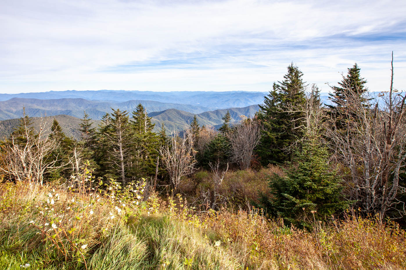 Clingmans Dome Sunset at Great Smoky Mountains National Park #vezzaniphotography