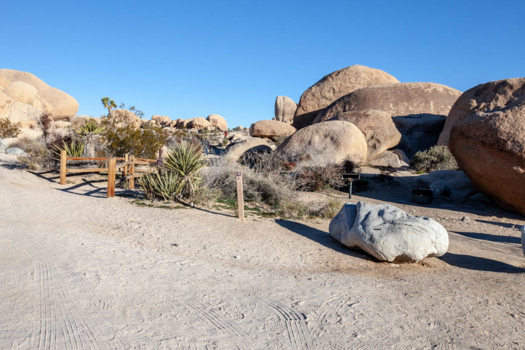 How to Find Arch Rock at Joshua Tree National Park #besthikes #vezzaniphotography