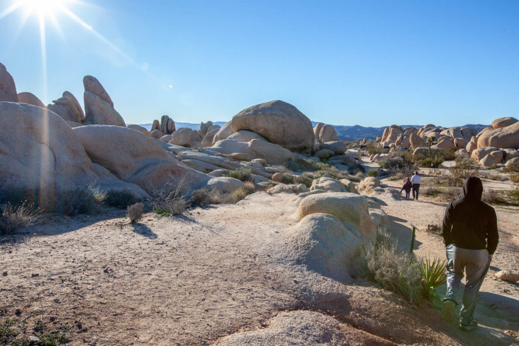 How to Find Arch Rock at Joshua Tree National Park #besthikes #vezzaniphotography