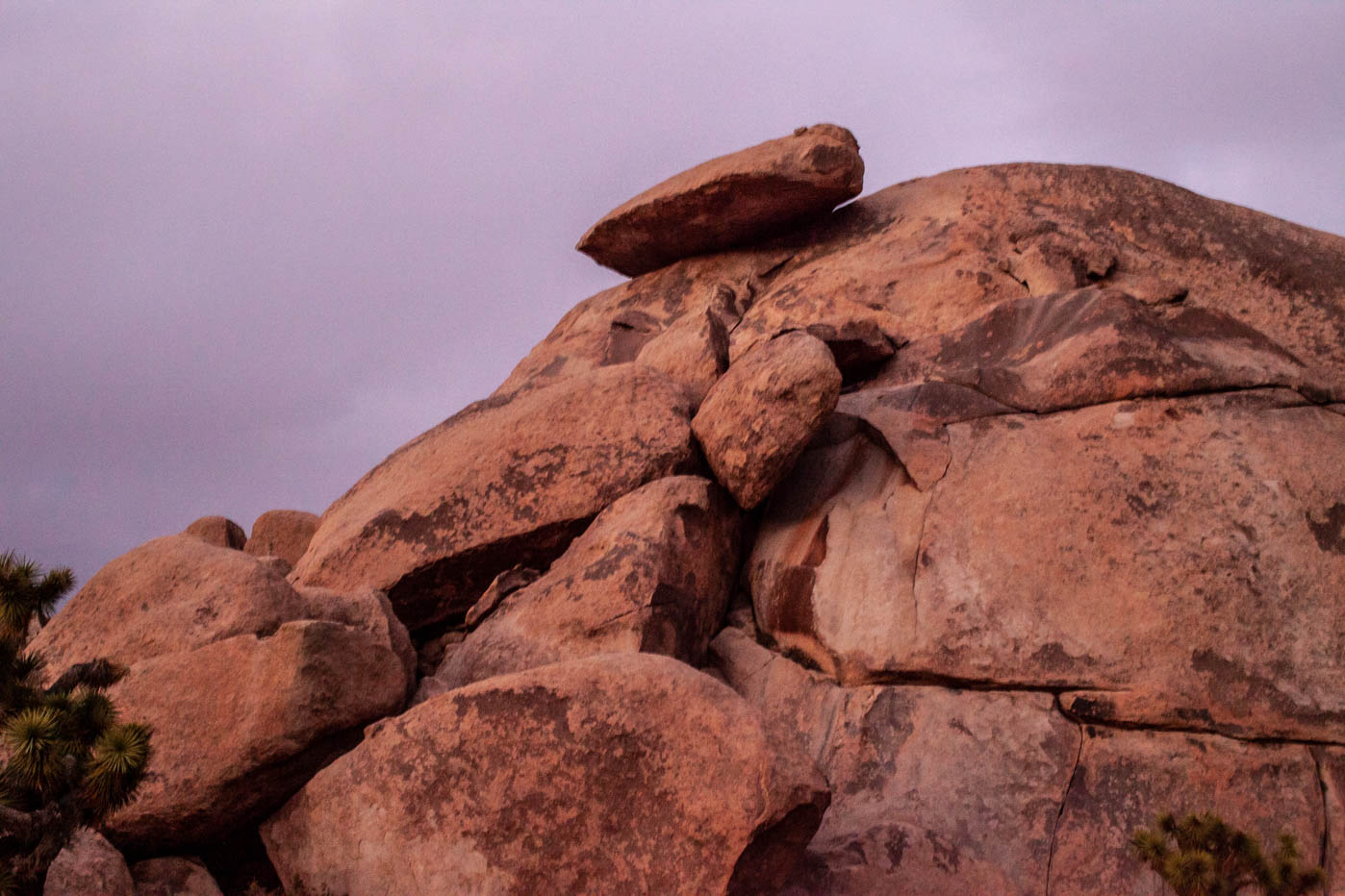 9 Must-see Locations at Joshua Tree National Park - Cap Rock #vezzaniphotography
