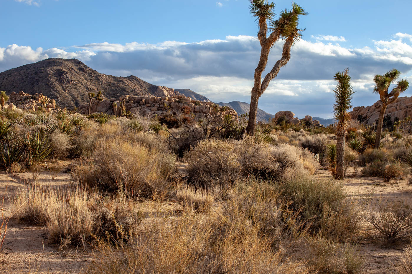 9 Must-see Locations at Joshua Tree National Park - Hidden Valley #vezzaniphotography
