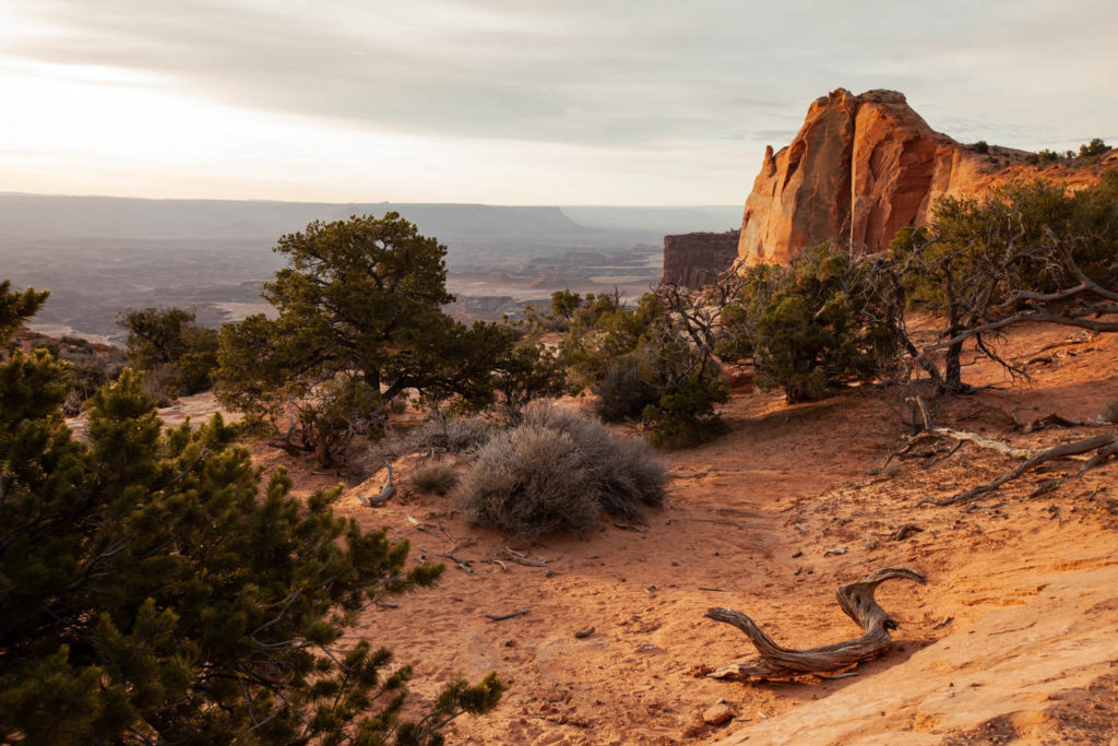 Photographing Mesa Arch at Sunrise in Canyonlands National Park #vezzaniphotography
