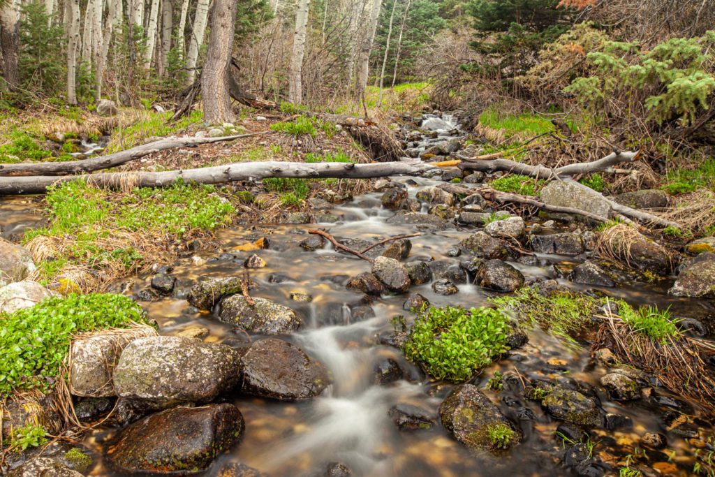 Baker Creek and Timber Creek Hiking Trail at Great Basin National Park #vezzaniphotography
