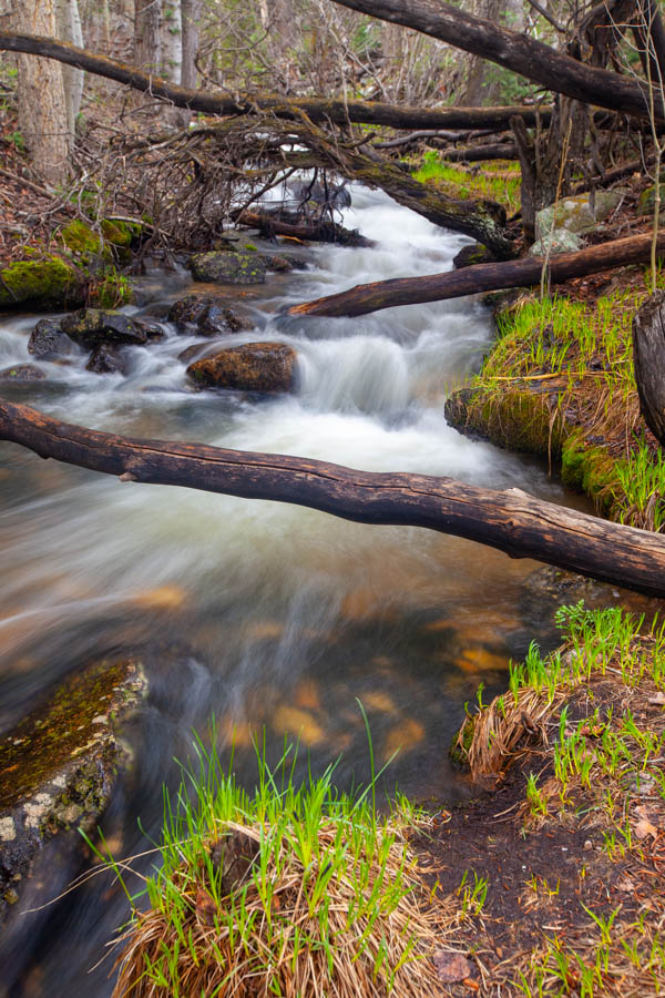 Baker Creek at Great Basin National Park #vezzaniphotography