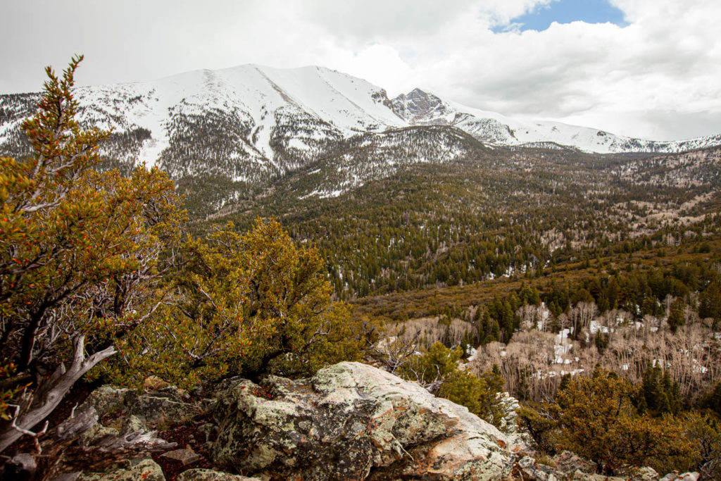 Mather Point at Great Basin National Park
