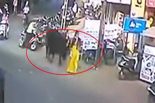 Caminaba por la calle y fue atacada por un toro