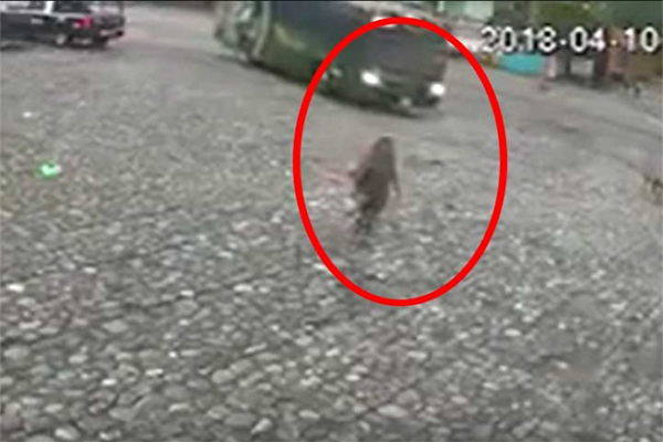 Camión atropella a una mujer en Querétaro