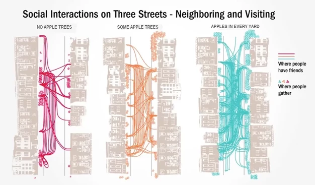 Social Interactions on Three Streets - Neighboring and Visiting

No Apple Trees: relatively few lines indicating where people have friends, and few spots they gather.

Some Apple Trees: greater density of social interconnection lines and gathering places.

Apples in Every Yard: highest density of social interconnections and gathering places.