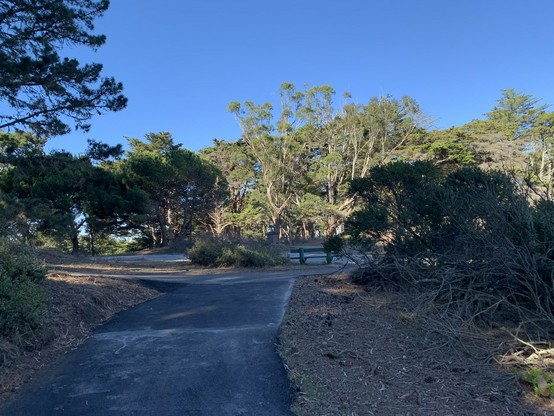 Path continues and meets up with another paved path, turning right to the road (Shelley Promenade).