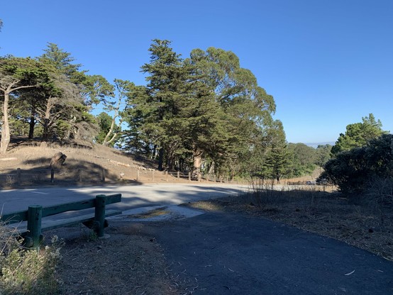 Path ends onto Shelley Promenade with a curb ramp. To the right, Shelley descends a steep hill.