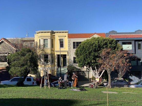 Band in the grass of the park in the sunshine, a row of attached homes behind them