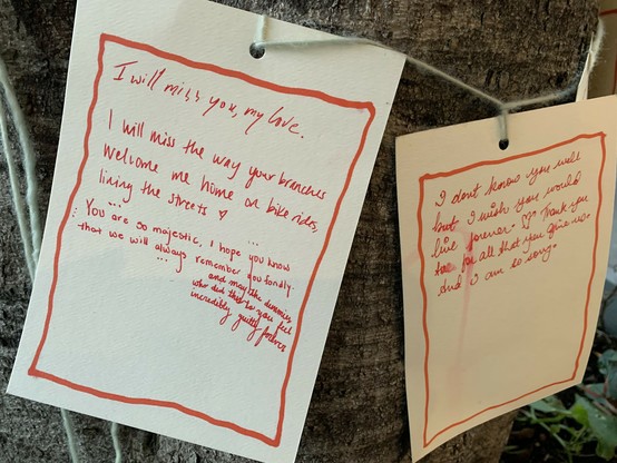 Handwritten love notes hung on twine tied loosely around tree trunk. “I will miss the way your branches welcome me home on bike rides, lining the streets”