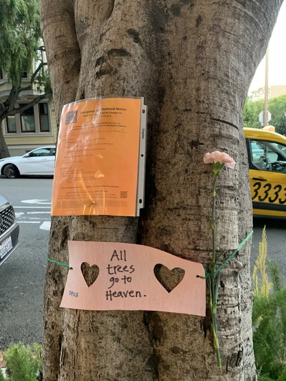 “All trees go to heaven.” Pink paper on trunk under tree removal notice