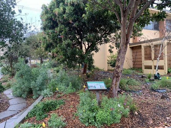 A lush green garden with various shrubs and forbs, a curving stone path to the left, a couple of trees, and there's a two-story school building with sand-colored walls off to the side. There's an information panel that's too distant to make out the text in this photo.