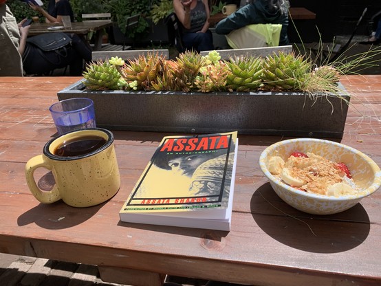 A pudding with strawberry and banana slices on a long wooden table along with a mug of coffee, a copy of Assata Shakur’s autobiography, and a row of succulents in a rectangular pot.