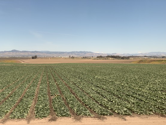 Rows of some kind of cabbage-ish crop in a valley. They’re blurry from the speed of the train. The valley backs up to faded rugged mountain ranges, the first mostly bare, the one behind it with scrub.