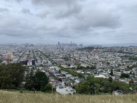 View of the Mission District with dense, gridded, mostly low-rise residential development. Few mature trees are visible, mostly just along one street (Folsom).