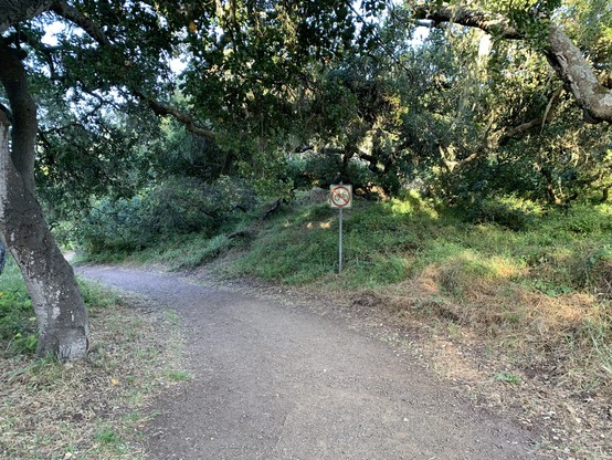 No bikes sign at entrance to a trail in the coast live oak woodlands