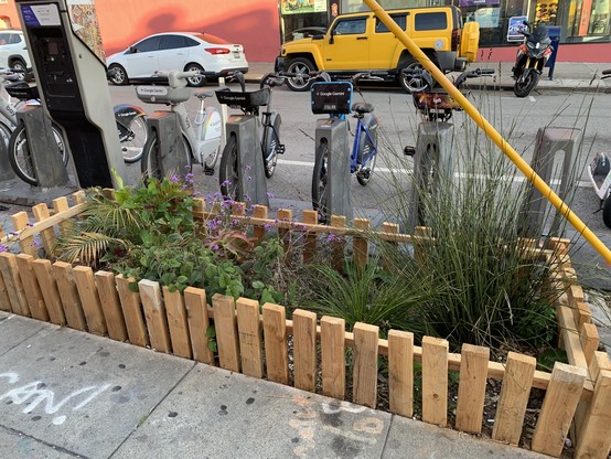 A sidewalk garden plot with a wooden border