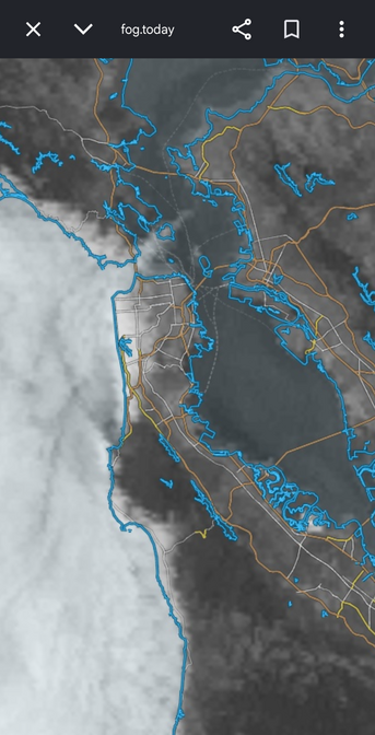 Screenshot of fog.today radar showing hella fog around the Golden Gate Bridge, as anyone (except Daniel Lurie) could’ve told you would happen.