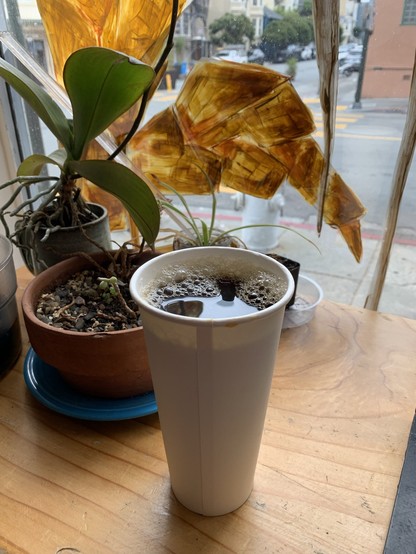 A very tall skinny paper cup of coffee along a table in front of a street-facing window. There are potted plants on the table and a yellow painting of wheat on the window.