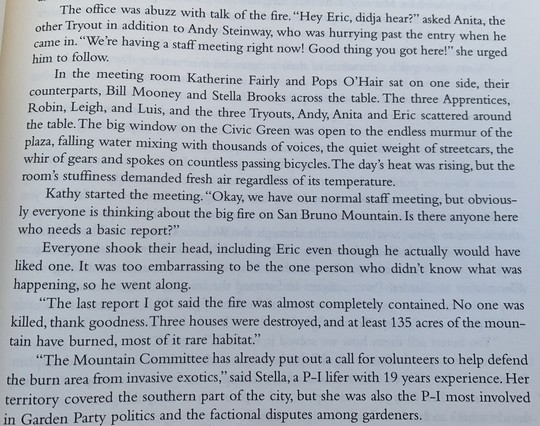 The office was abuzz with talk of the fire…
Kathy started the meeting. "Okay, we have our normal staff meeting, but obviously everyone is thinking about the big fire on San Bruno Mountain. Is there anyone here who needs a basic report?"
Everyone shook their head, including Eric even though he actually would have liked one. It was too embarrassing to be the one person who didn't know what was happening, so he went along.
"The last report I got said the fire was almost completely contained. No…