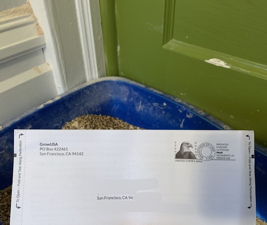Letter in a perforated envelope from GrowUSA with a San Francisco PO box return address. I’ve blurred my address. I’m holding the envelope over my cats’ litterbox to photograph it like the turd it is.