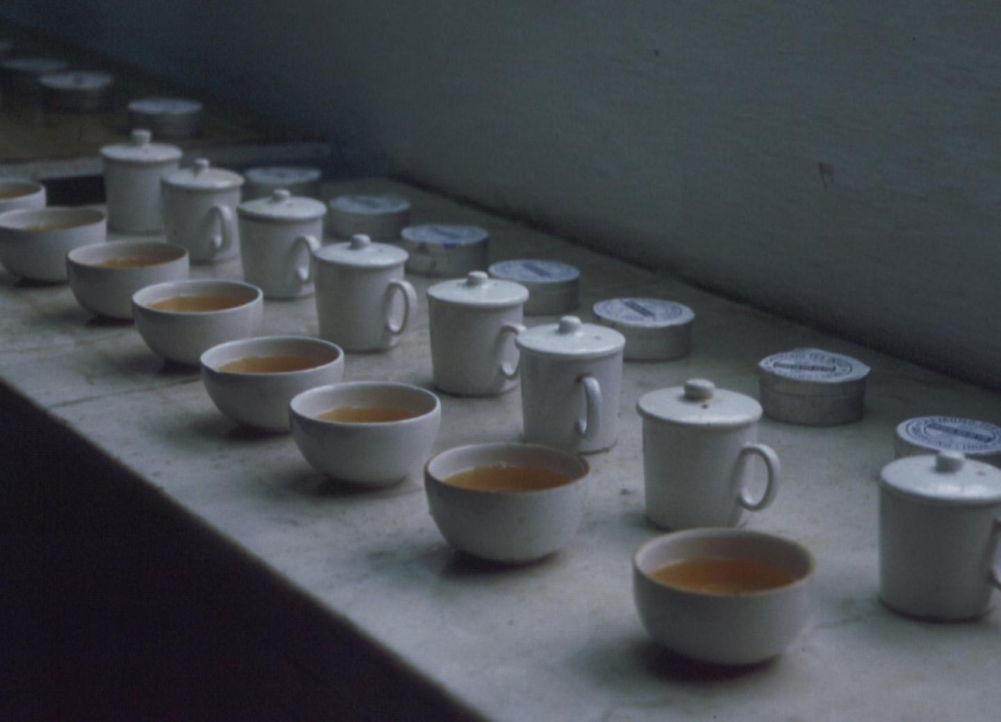 The Long Journey to Your Cup The Long Journey to Your Cup