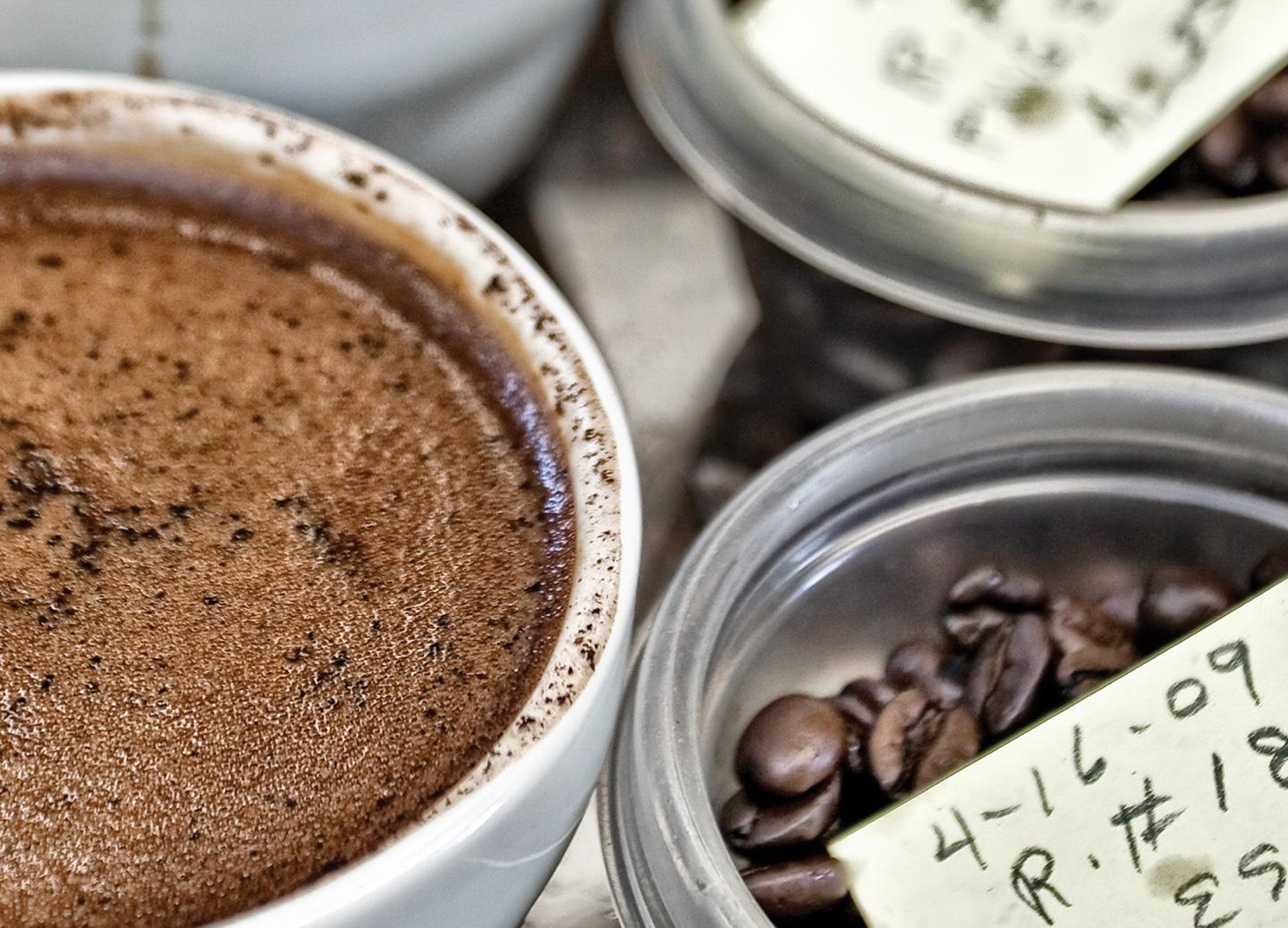 Coffee Sourcing Coffee Sourcing