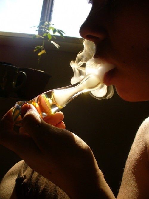 Contest 420nurses 2