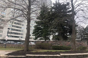 2350 Bridletowne Circ 2350 Bridletowne Circ