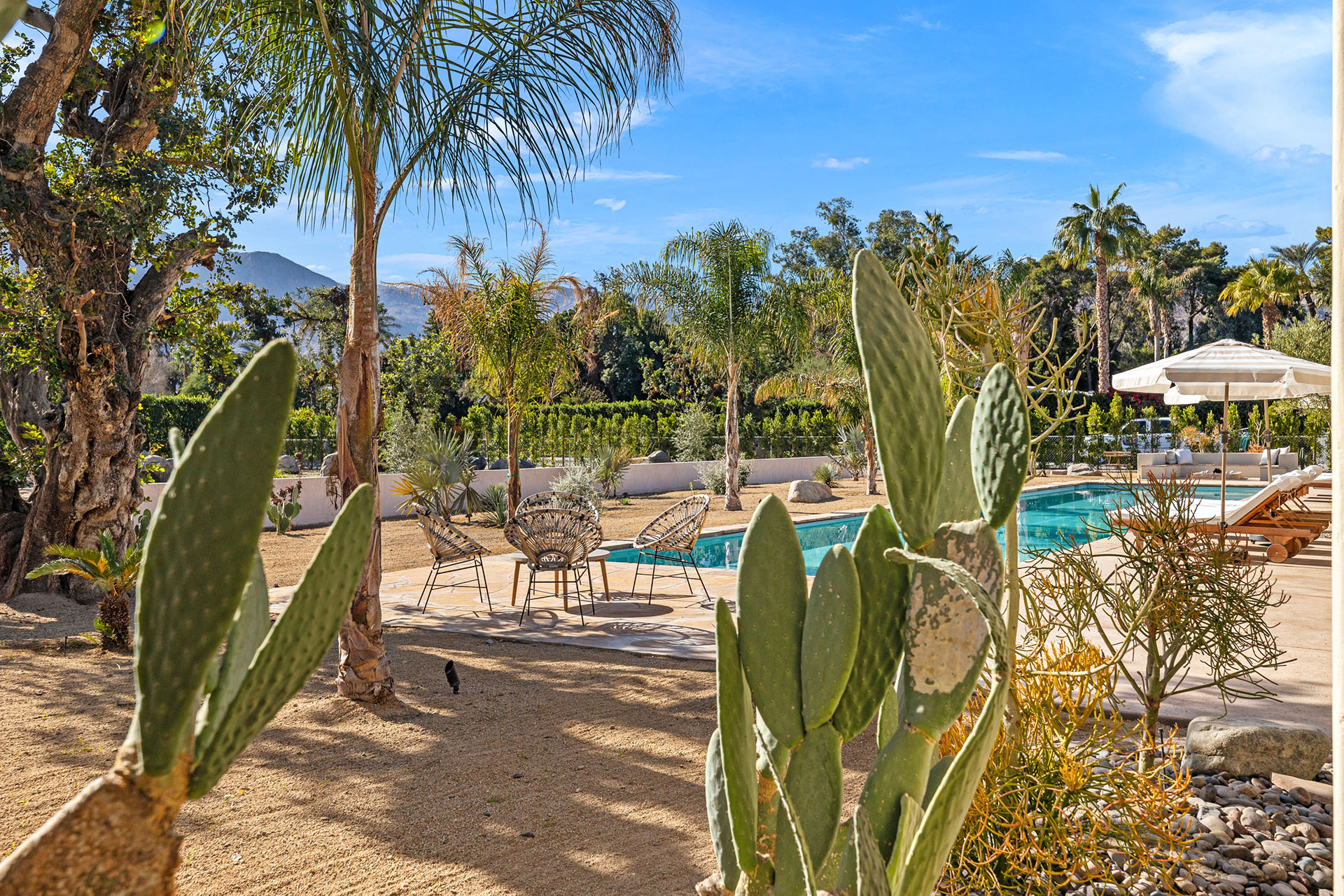 Rancho Colibri 2.5 acres, tennis court, lap pool | Photo 92