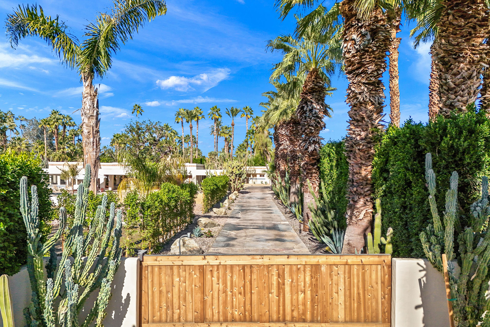 Rancho Colibri 2.5 acres, tennis court, lap pool | Photo 6