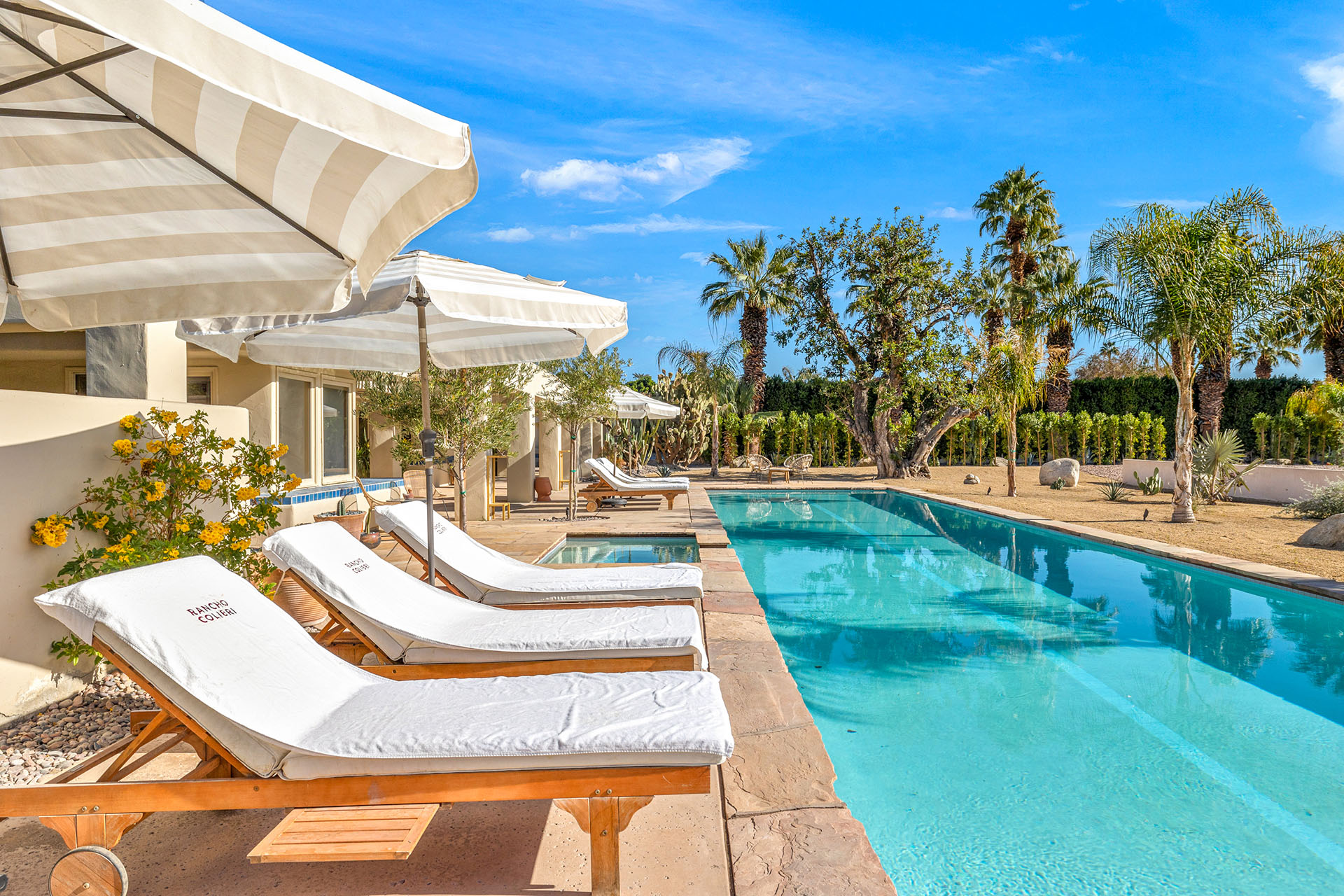 Rancho Colibri 2.5 acres, tennis court, lap pool | Photo 3