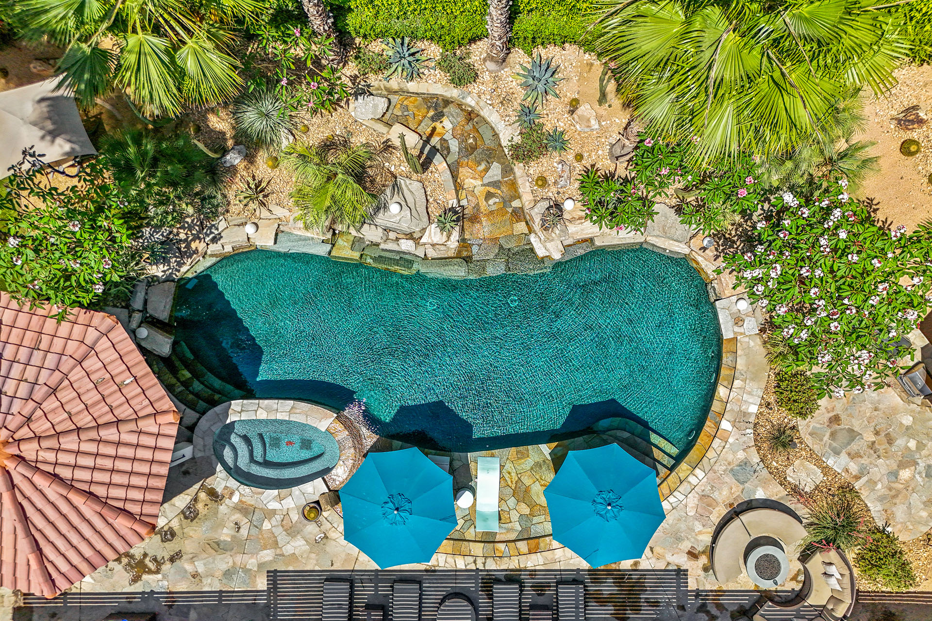 Cabana Palms A half acre desert oasis | Photo 56