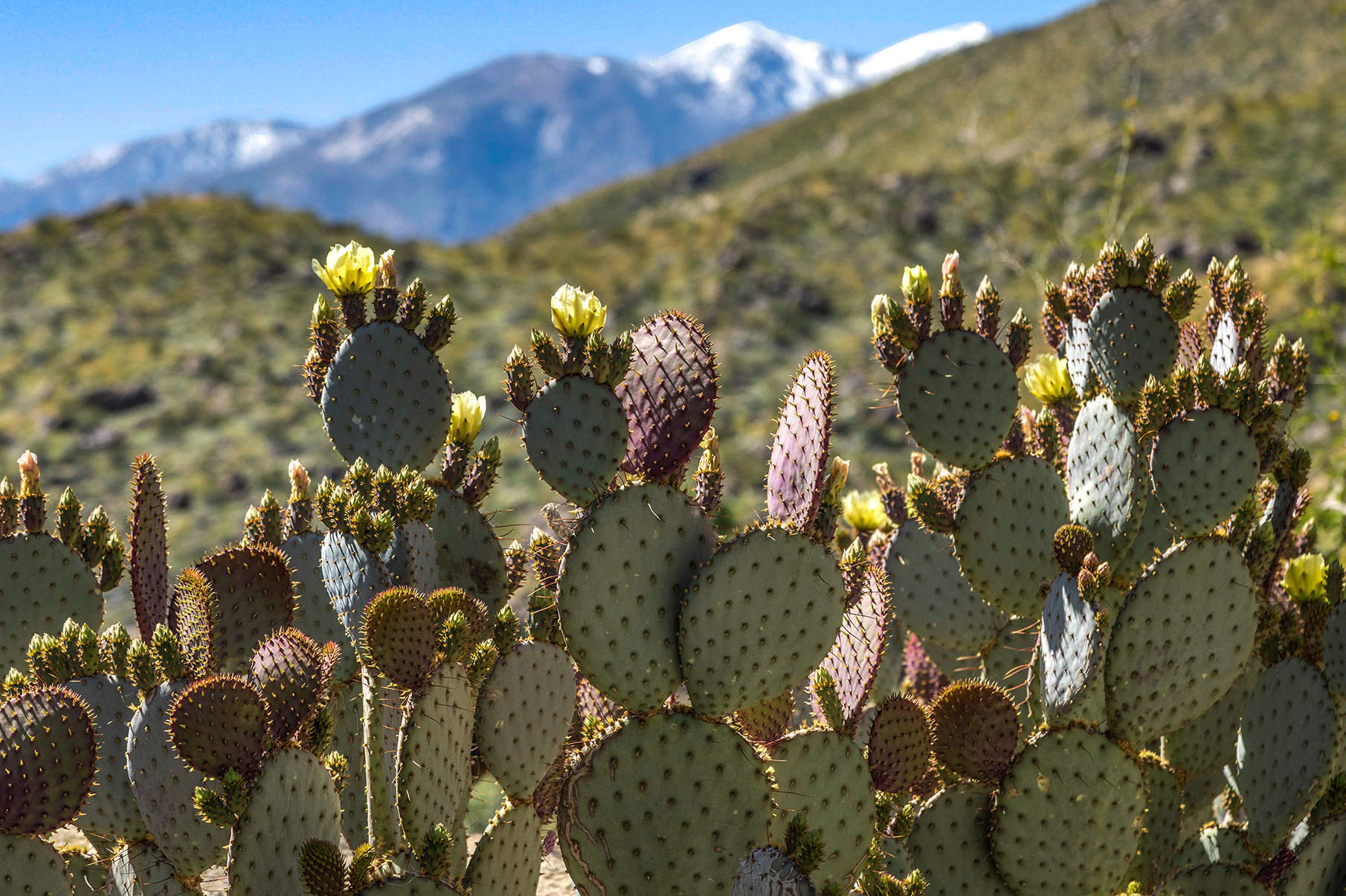 Somerset Ranch 6 BR, 28 acre hillside retreat | Photo 98